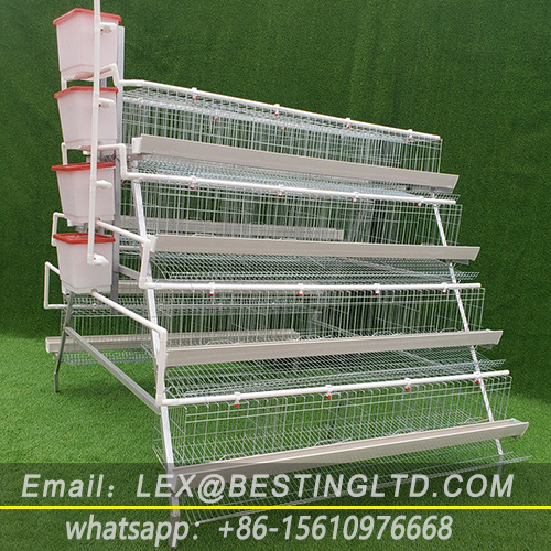 Four-Layers Chicken Cage
